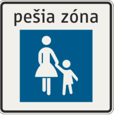Pešia zóna 317
