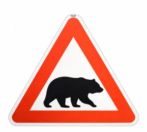 Pozor medveď